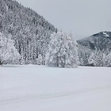 Am Bergfeld Bayrischzell