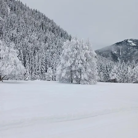 Am Bergfeld Bayrischzell