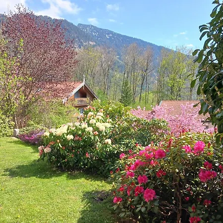 Am Bergfeld アパート *