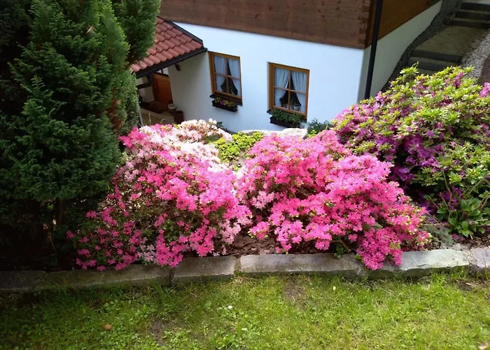 Am Bergfeld Appartement Bayrischzell