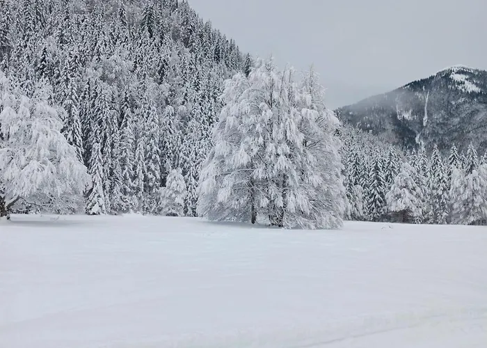Am Bergfeld Bayrischzell