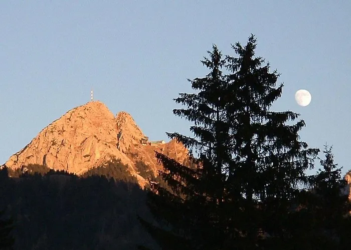 Am Bergfeld Appartement Bayrischzell